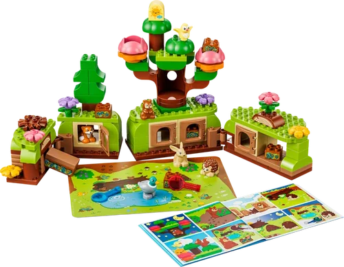 Discovery Forest with Wild Animals